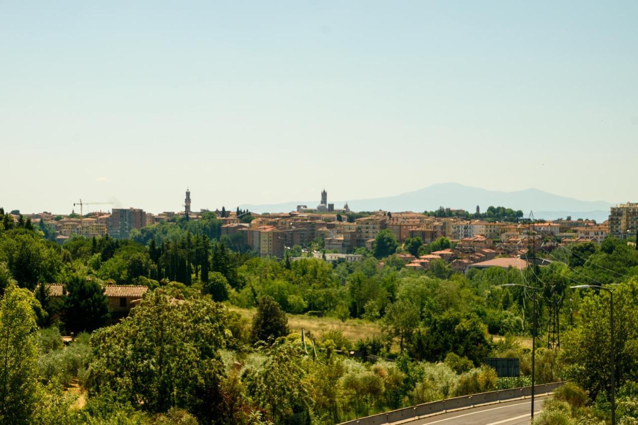 Anna Nord Siena